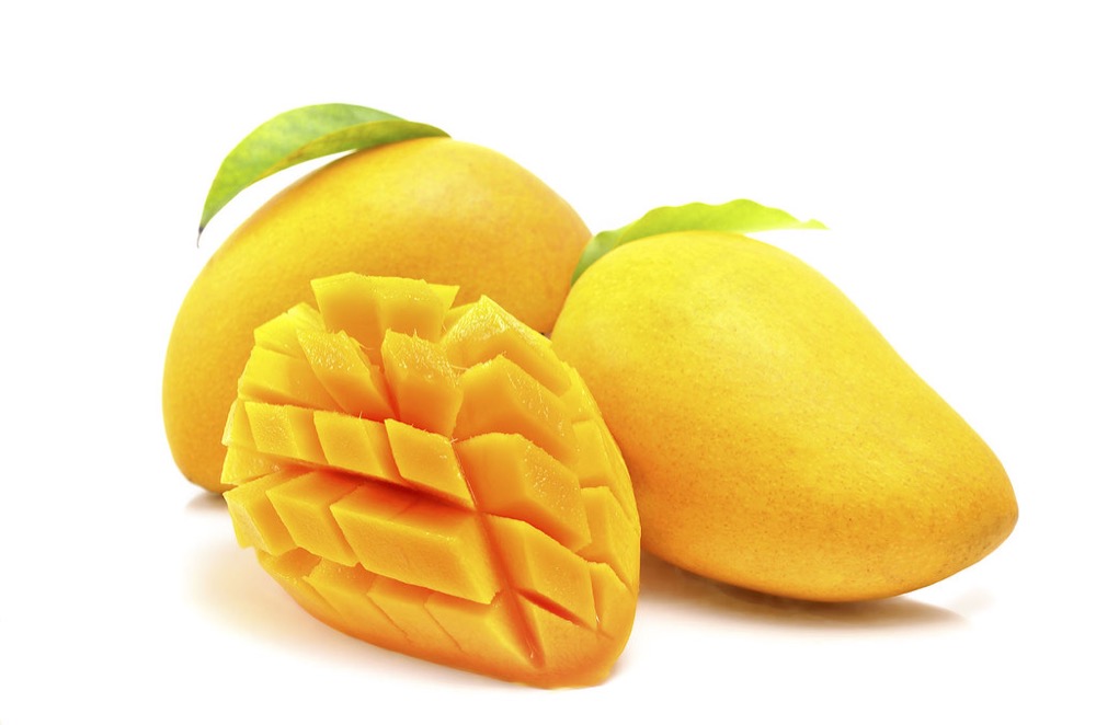 Alphonso Mango Export