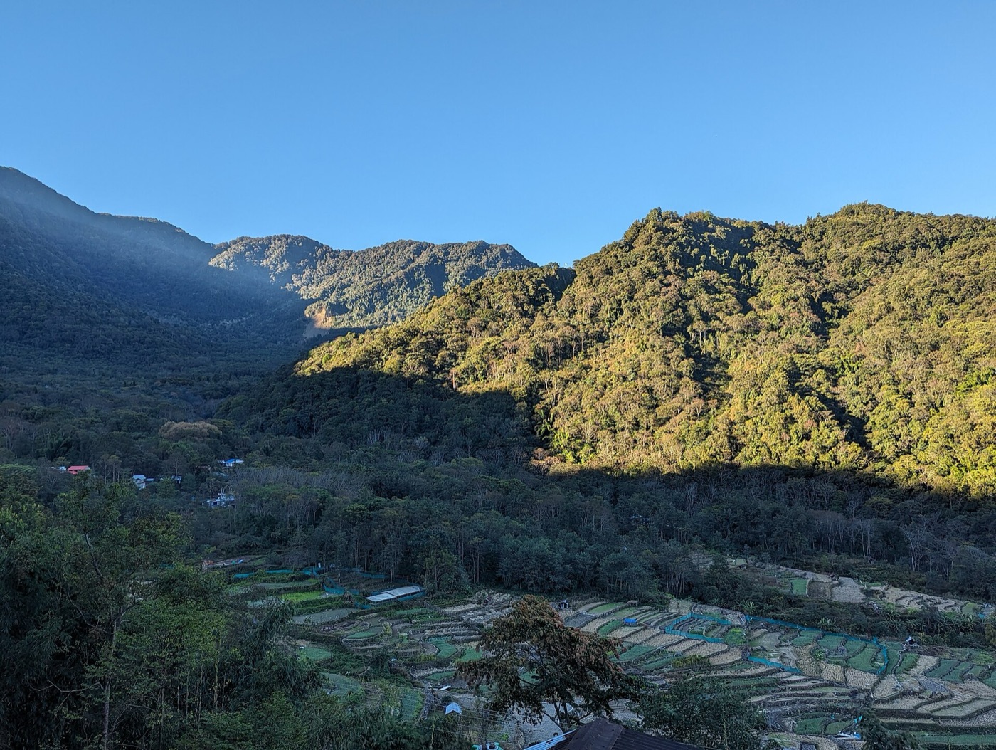 Green hills of Northeast India — Aethon Overseas specialty botanical sourcing region