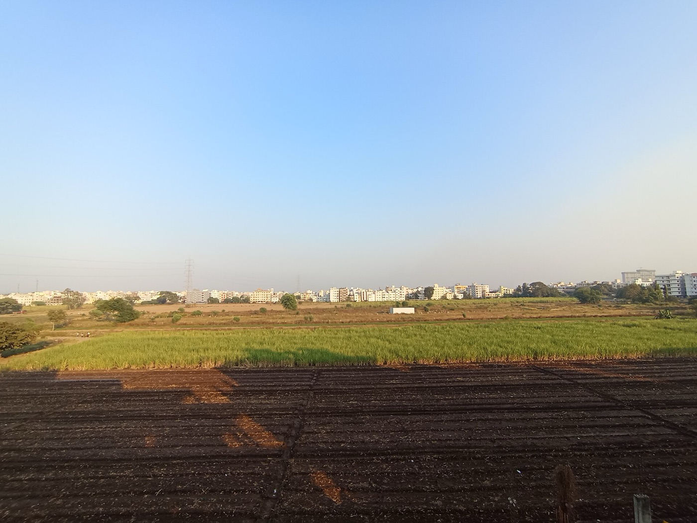 Agricultural export opportunity identified in 2024 — India's premium farmland and produce
