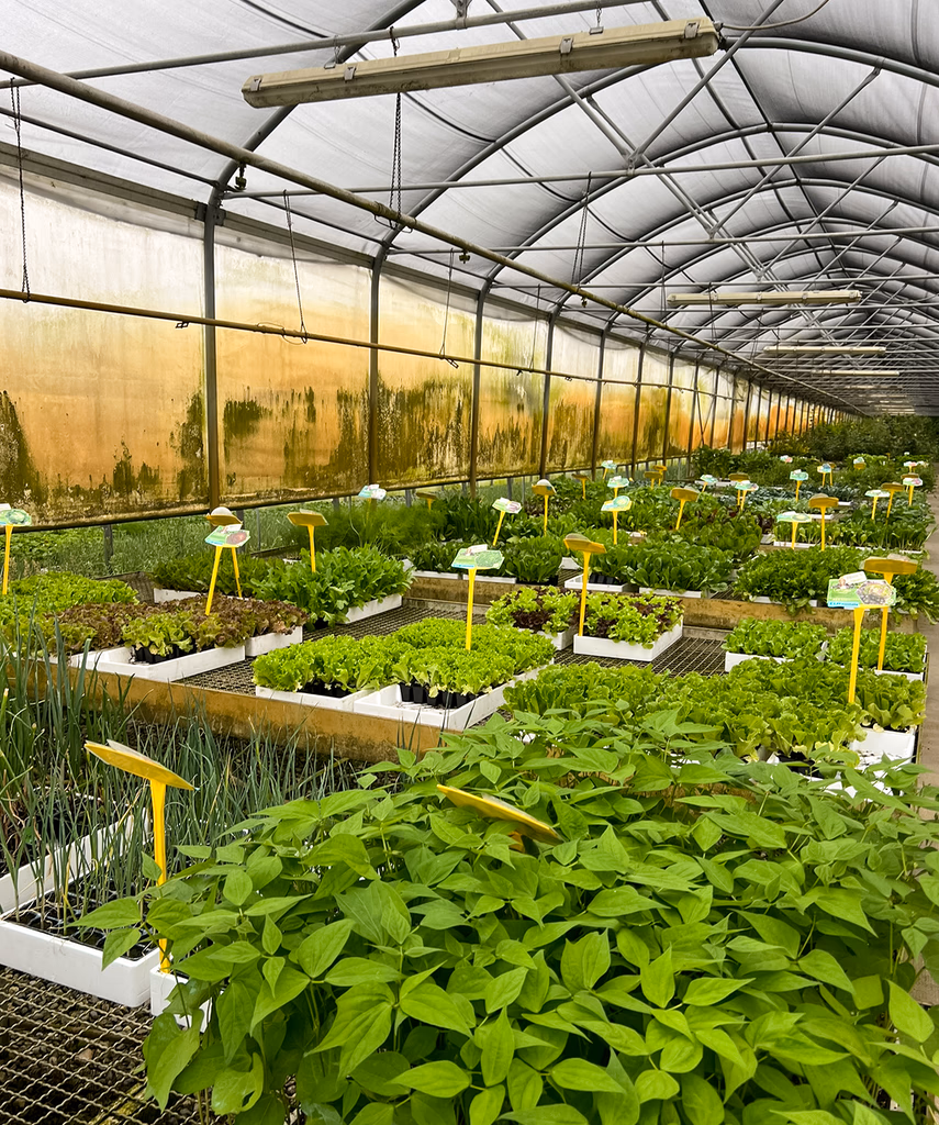 Direct farm sourcing across India
