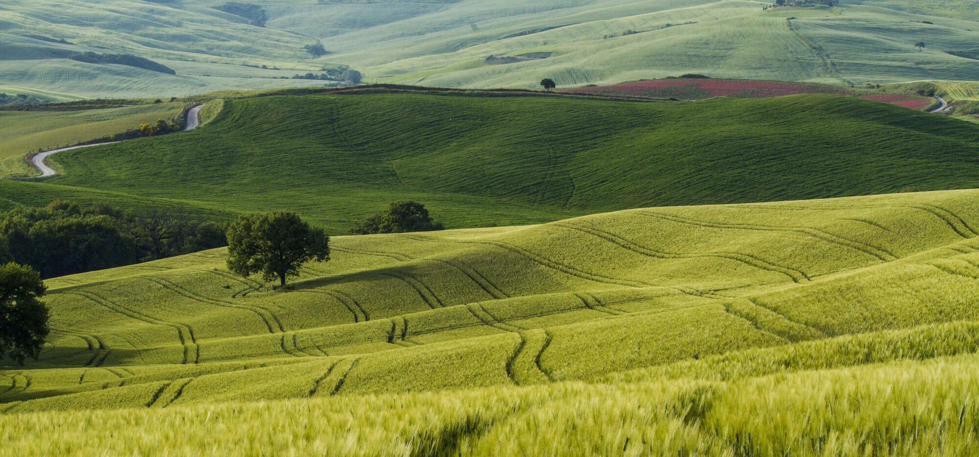 Aethon Overseas — rolling Indian agricultural growing fields